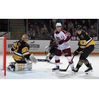 Peterborough Petes right wing Braydon McCallum vs. the Brantford Bulldogs