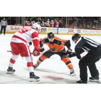 Lehigh Valley Phantoms forward Anthony Richard awaits the faceoff