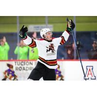 Tucson Roadrunners' Josh Doan on game night