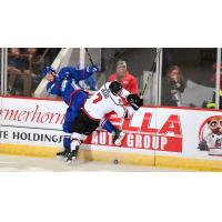 Adirondack Thunder forward Chase Brand lays a hit on the Trois-Rivieres Lions