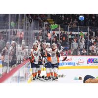 Flint Firebirds watch the teddy bears rain down after Connor Clattenburg's goal