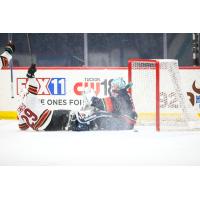 Tucson Roadrunners forward Andrew Agozzino celebrates after scoring the game-winning goal