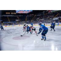 Springfield Thunderbirds battle the Utica Comets