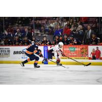 Greenville Swamp Rabbits' Miles Gendron versus South Carolina Stingrays' Micah Miller