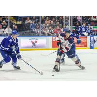 Brampton Steelheads' Jakub Fibigr and Saginaw Spirit's Kristian Epperson