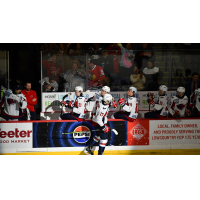 South Carolina Stingrays forward Jamie Engelbert along the bench