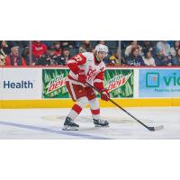 Grand Rapids Griffins defenseman William Lagesson