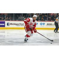 Grand Rapids Griffins defenseman William Lagesson