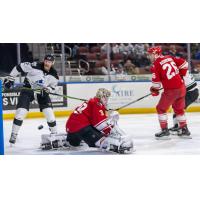 Wichita Thunder eyes a loose puck against the Allen Americans