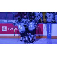 Wichita Thunder gather following a goal