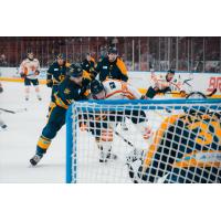 Atlanta Gladiators' Zach Yoder versus Greenville Swamp Rabbits' Tyson Fawcett