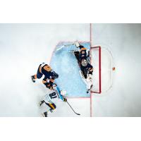 Greenville Swamp Rabbits goaltender Jacob Ingham vs. the Atlanta Gladiators