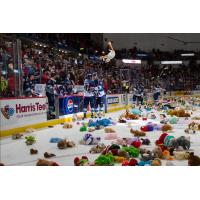 South Carolina Stingrays Teddy Bear Toss