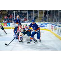 Springfield Thunderbirds' Simon Robertsson battles Bridgeport Islanders' Henrik Tikkanen and Samuel Bolduc