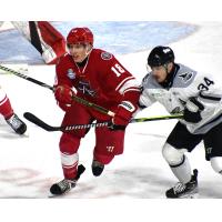 Allen Americans forward Easton Brodzinski