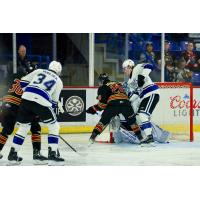 Vancouver Giants left wing Torretto Marrelli crashes the net vs. the Victoria Royals