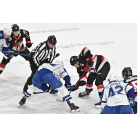 Belleville Senators battle the Syracuse Crunch