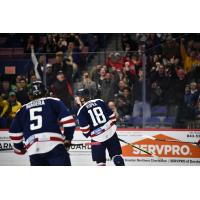 Kyler Kupka of the South Carolina Stingrays reacts after his goal