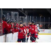 South Carolina Stingrays exchange congratulations along the bench